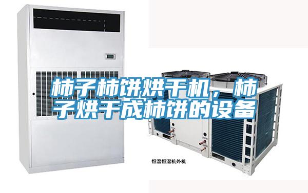 柿子柿餅烘干機，柿子烘干成柿餅的設(shè)備