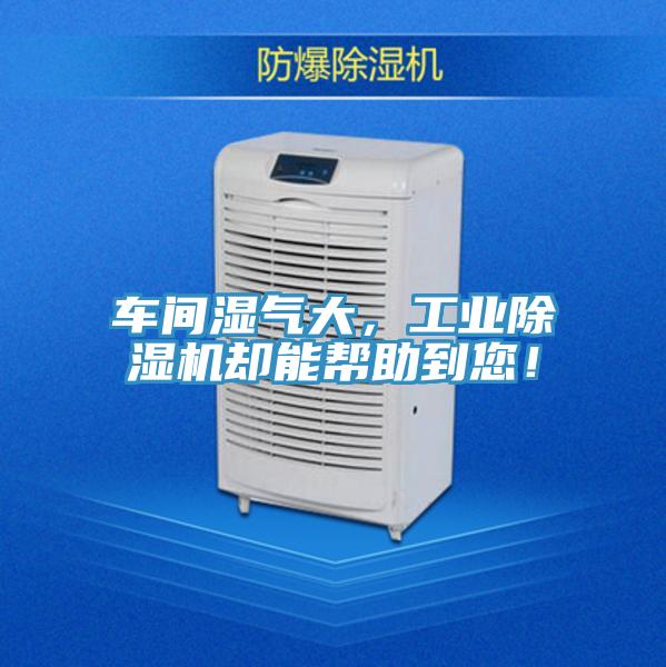 車(chē)間濕氣大，工業(yè)除濕機(jī)卻能幫助到您！