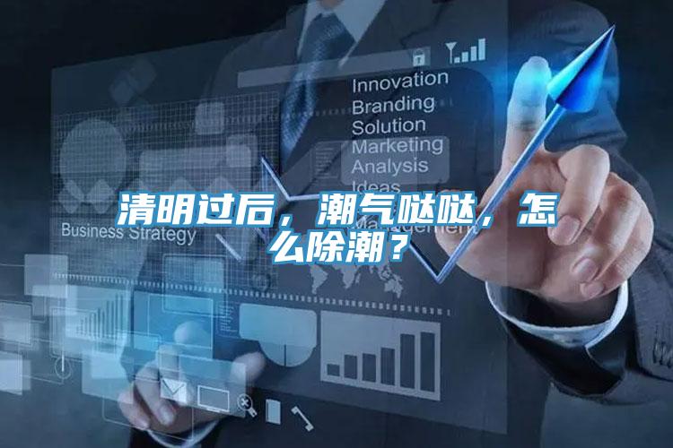 清明過后，潮氣噠噠，怎么除潮？