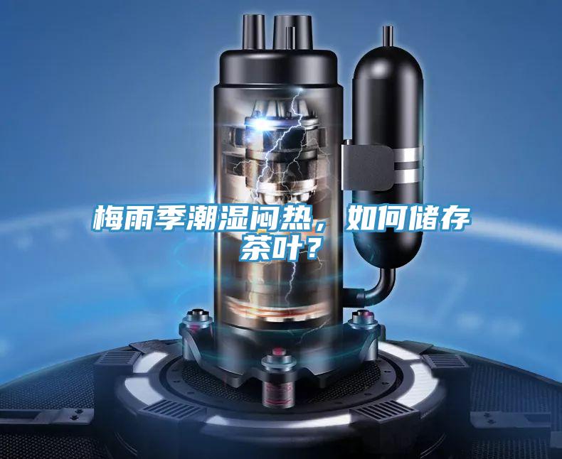 梅雨季潮濕悶熱，如何儲(chǔ)存茶葉？