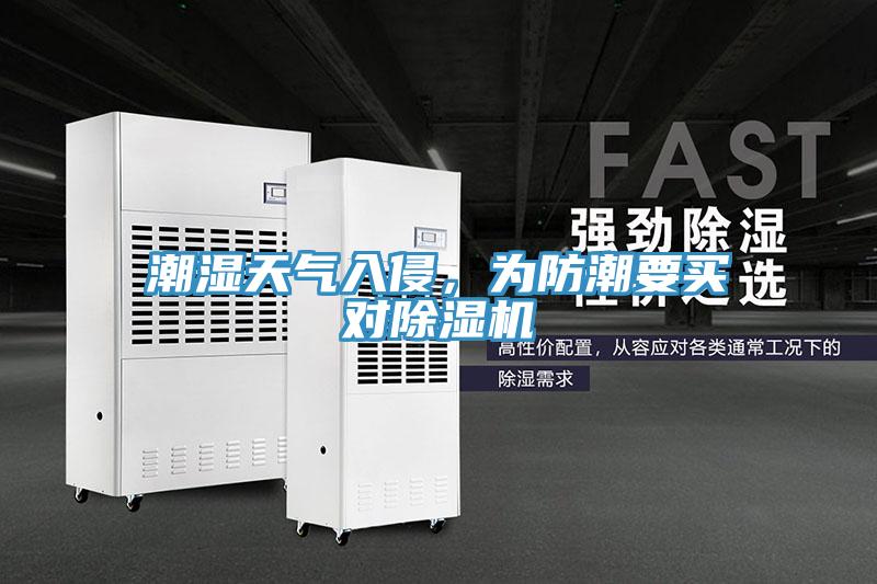 潮濕天氣入侵，為防潮要買對(duì)除濕機(jī)