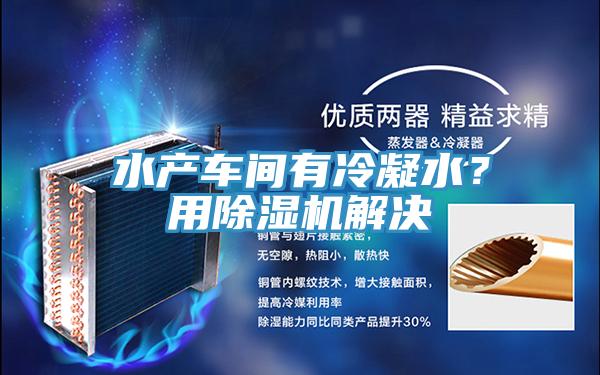 水產(chǎn)車間有冷凝水？用除濕機解決