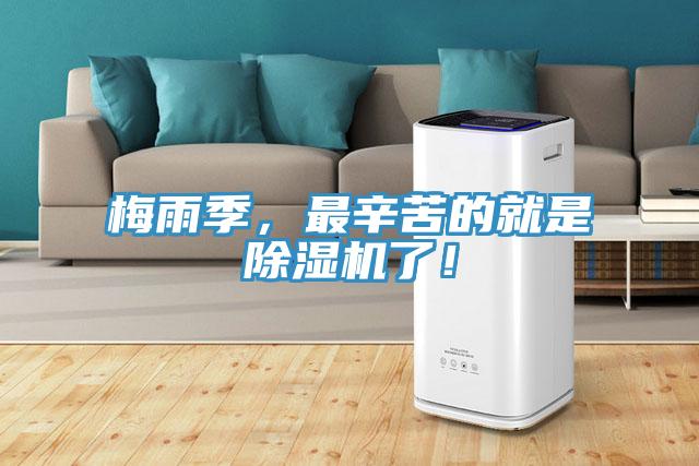 梅雨季，最辛苦的就是除濕機了！