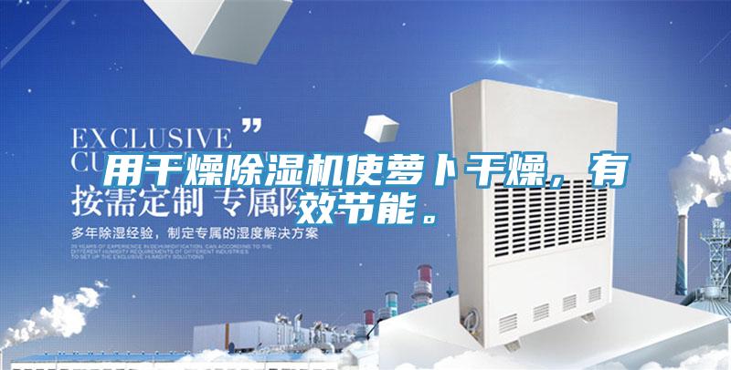 用干燥除濕機使蘿卜干燥，有效節(jié)能。