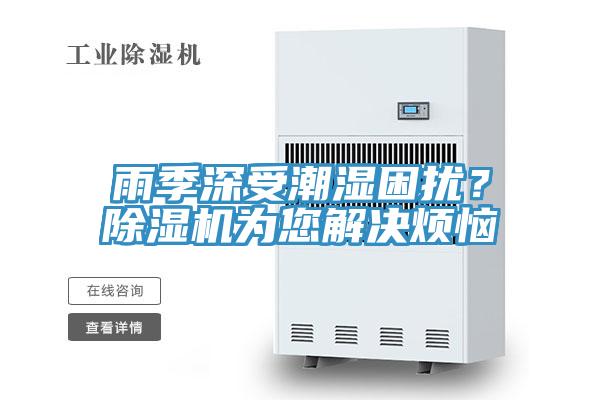 雨季深受潮濕困擾？除濕機(jī)為您解決煩惱