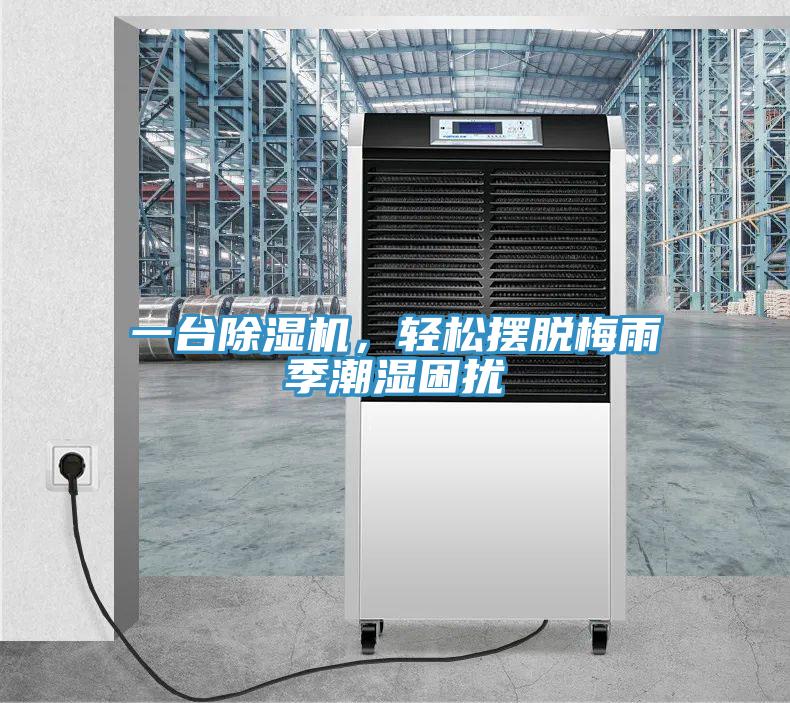 一臺除濕機，輕松擺脫梅雨季潮濕困擾