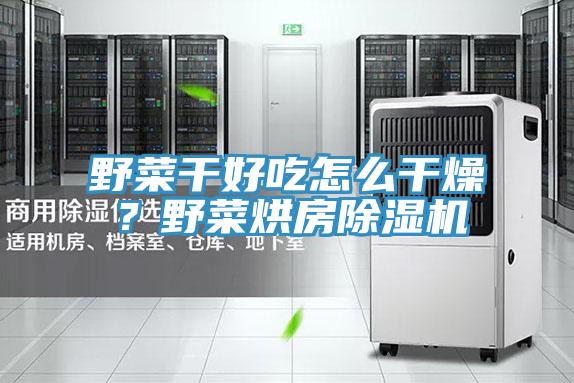 野菜干好吃怎么干燥？野菜烘房除濕機(jī)