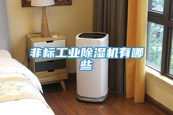非標(biāo)工業(yè)除濕機有哪些