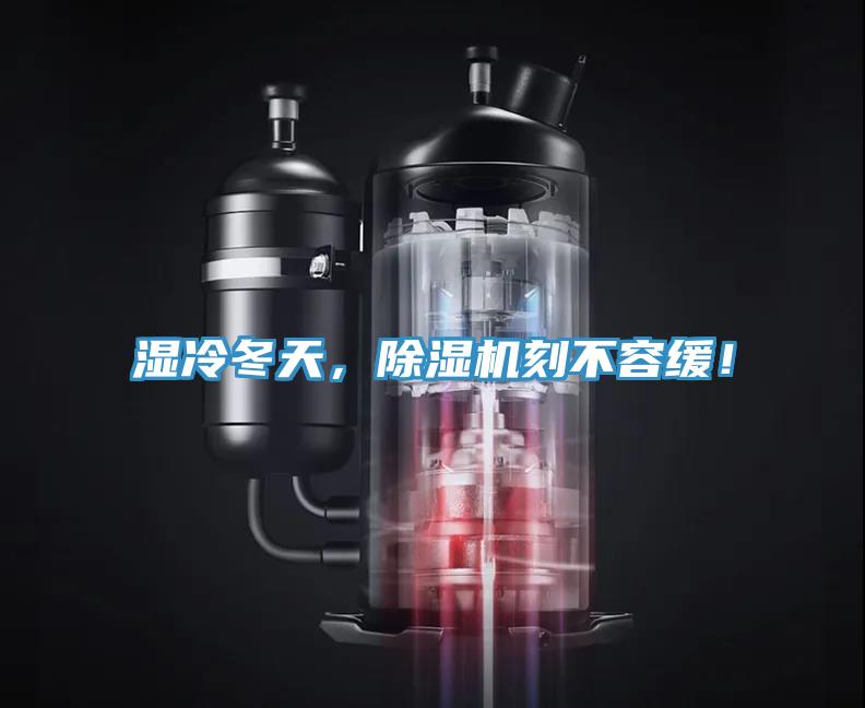 濕冷冬天，除濕機刻不容緩！