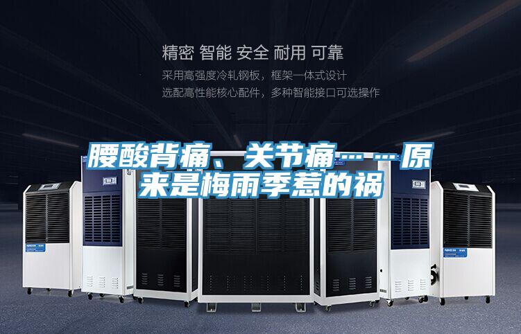 腰酸背痛、關(guān)節(jié)痛……原來是梅雨季惹的禍