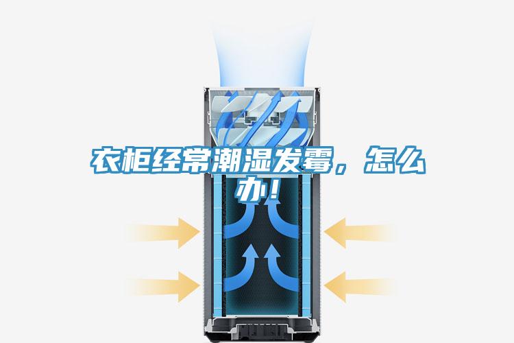 衣柜經(jīng)常潮濕發(fā)霉，怎么辦！