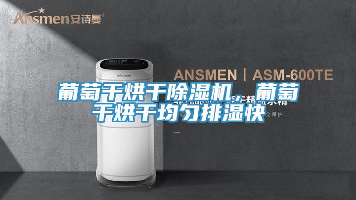 葡萄干烘干除濕機(jī)，葡萄干烘干均勻排濕快