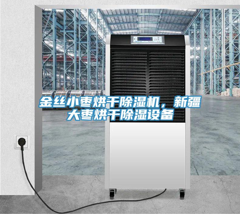 金絲小棗烘干除濕機(jī)，新疆大棗烘干除濕設(shè)備