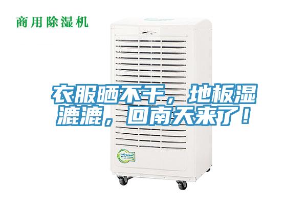 衣服曬不干，地板濕漉漉，回南天來了！