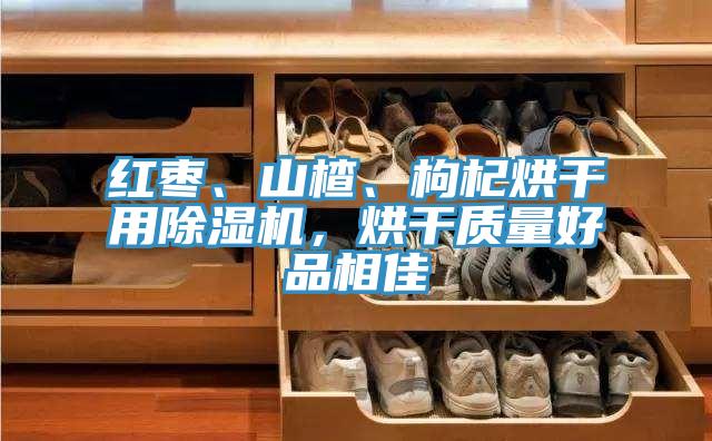 紅棗、山楂、枸杞烘干用除濕機，烘干質量好品相佳