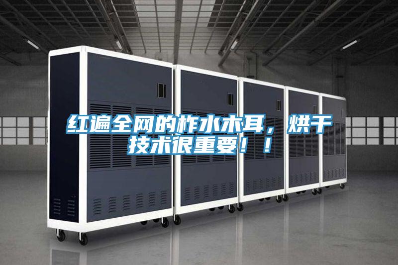 紅遍全網(wǎng)的柞水木耳，烘干技術(shù)很重要??！