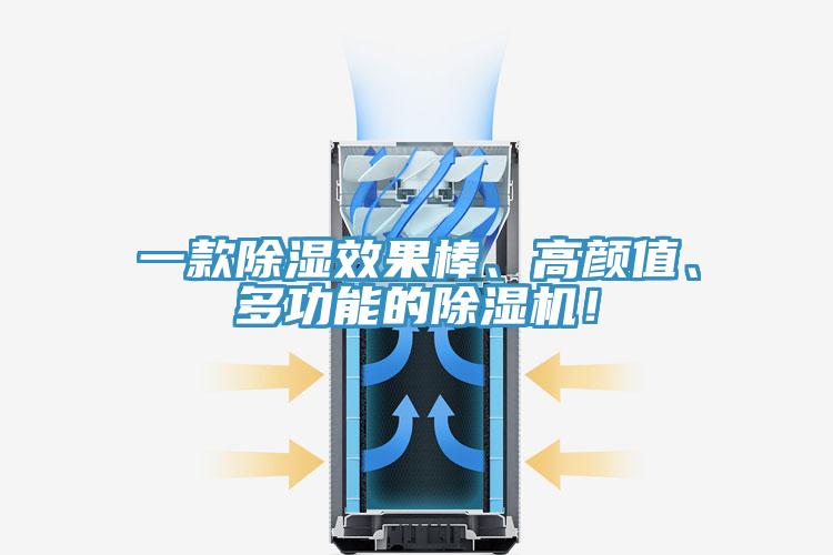 一款除濕效果棒、高顏值、多功能的除濕機！