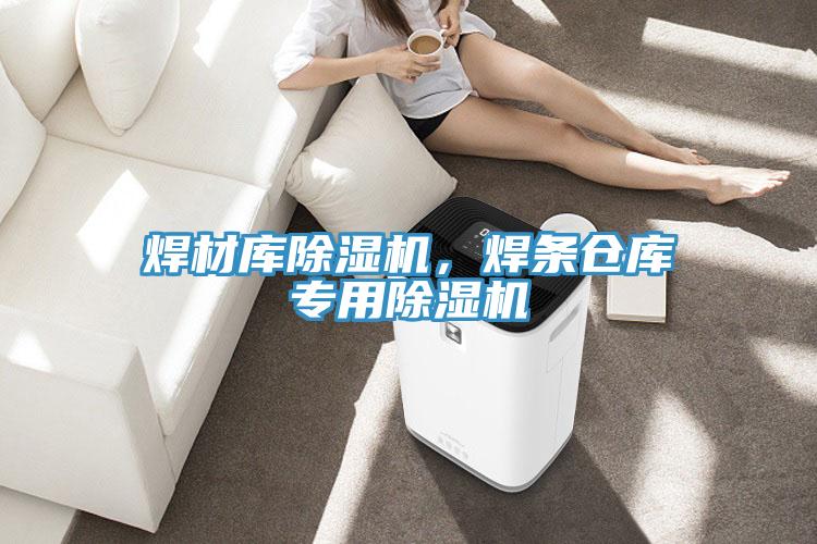 焊材庫(kù)除濕機(jī)，焊條倉(cāng)庫(kù)專用除濕機(jī)