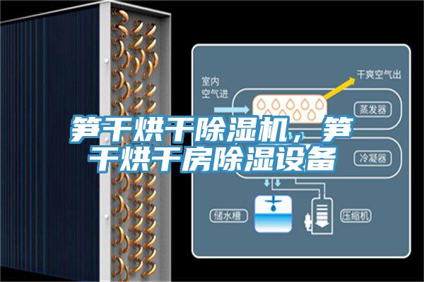 筍干烘干除濕機，筍干烘干房除濕設備