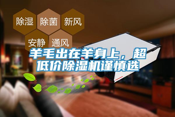 羊毛出在羊身上，超低價除濕機謹慎選