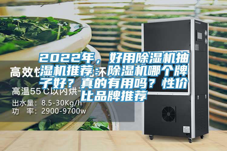 2022年，好用除濕機(jī)抽濕機(jī)推薦：除濕機(jī)哪個(gè)牌子好？真的有用嗎？性價(jià)比品牌推薦