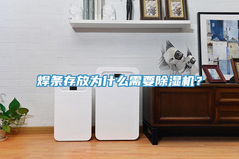 焊條存放為什么需要除濕機(jī)?