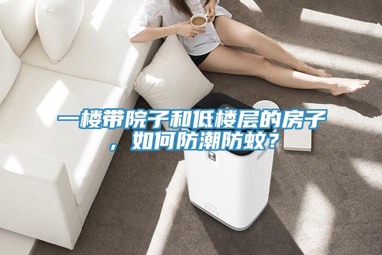 一樓帶院子和低樓層的房子，如何防潮防蚊？