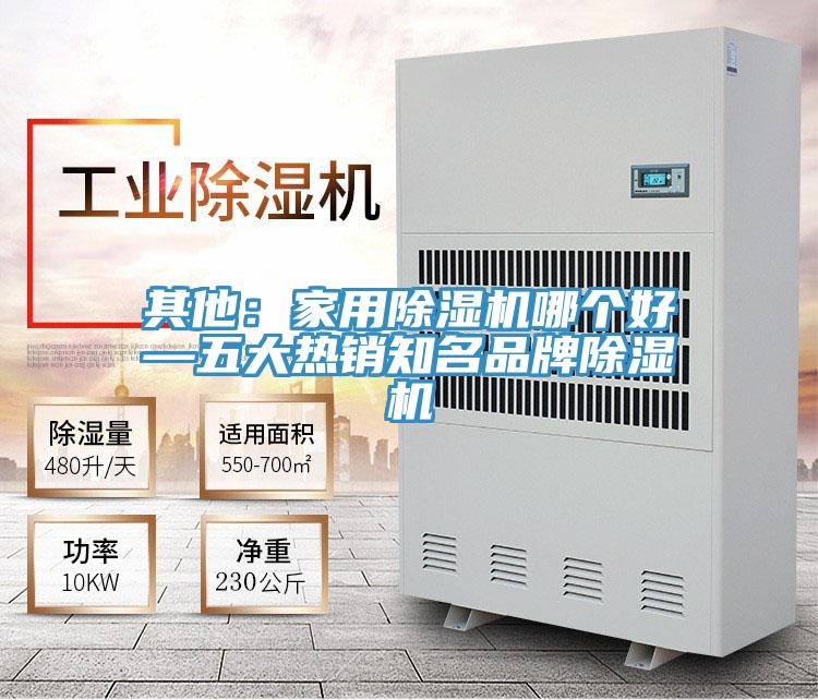 其他:家用除濕機(jī)哪個好—五大熱銷知名品牌除濕機(jī)
