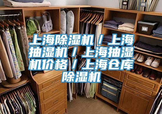 上海除濕機(jī)／上海抽濕機(jī)／上海抽濕機(jī)價(jià)格／上海倉庫除濕機(jī)
