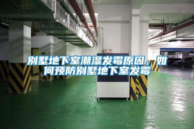 別墅地下室潮濕發(fā)霉原因，如何預防別墅地下室發(fā)霉
