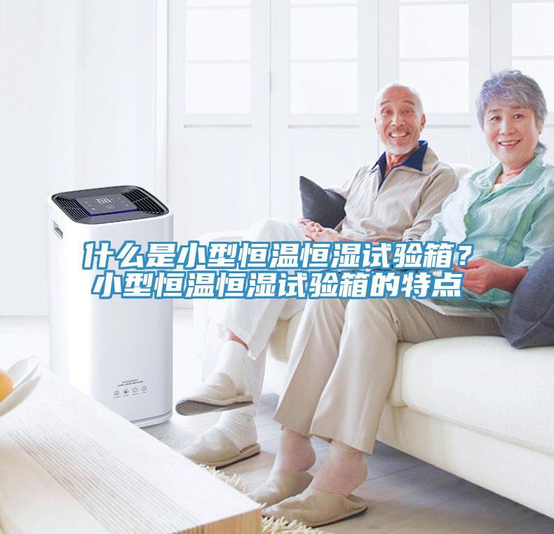 什么是小型恒溫恒濕試驗(yàn)箱？小型恒溫恒濕試驗(yàn)箱的特點(diǎn)