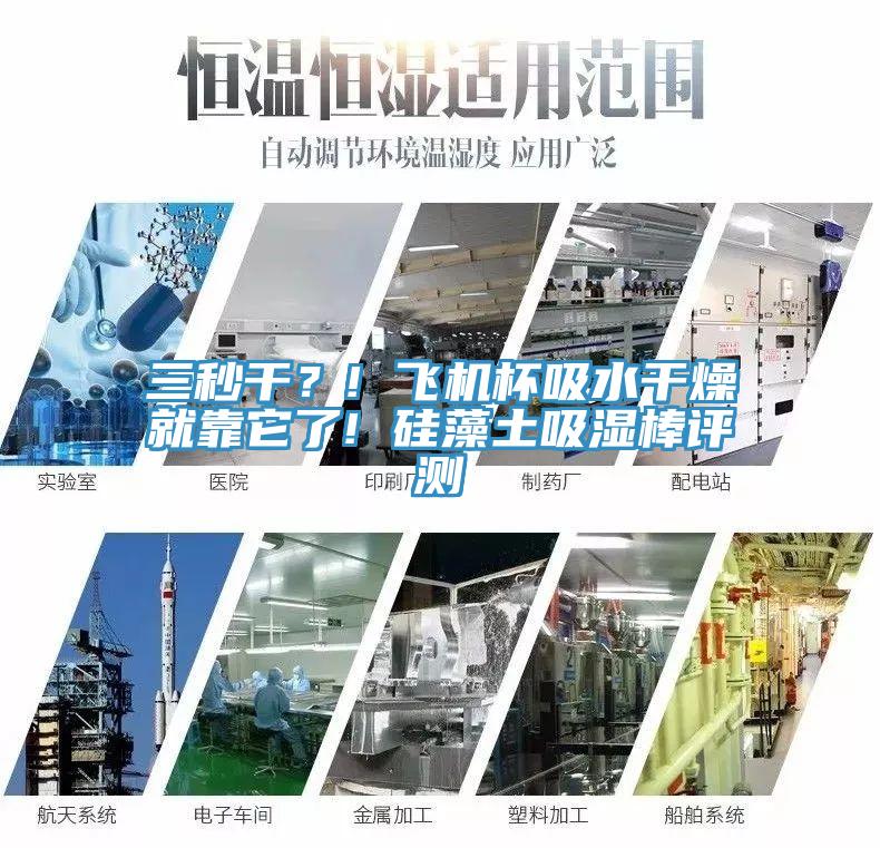 三秒干？! 飛機(jī)杯吸水干燥就靠它了! 硅藻土吸濕棒評(píng)測(cè)