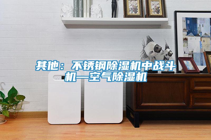 其他:不銹鋼除濕機(jī)中戰(zhàn)斗機(jī)—空氣除濕機(jī)