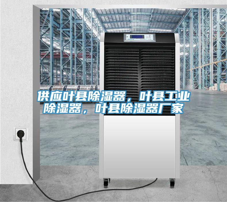 供應(yīng)葉縣除濕器，葉縣工業(yè)除濕器，葉縣除濕器廠家
