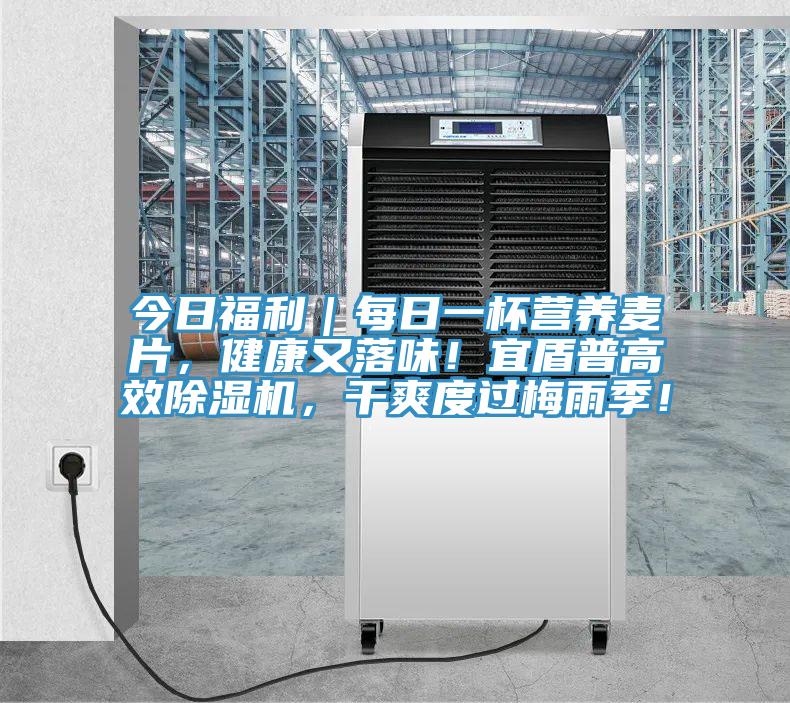 今日福利｜每日一杯營養(yǎng)麥片，健康又落味！宜盾普高效除濕機，干爽度過梅雨季！