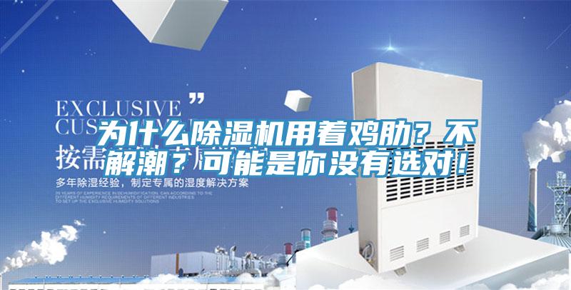 為什么除濕機用著雞肋？不解潮？可能是你沒有選對！