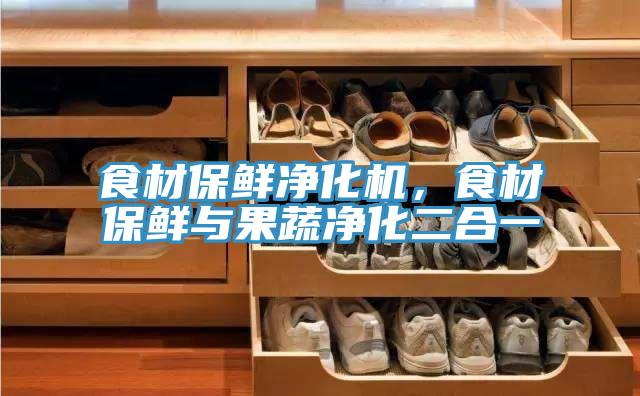 食材保鮮凈化機(jī)，食材保鮮與果蔬凈化二合一