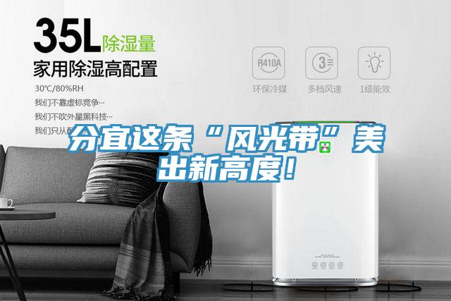 分宜這條“風(fēng)光帶”美出新高度！