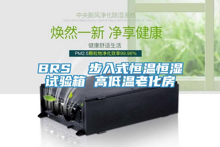 BRS 步入式恒溫恒濕試驗(yàn)箱 高低溫老化房