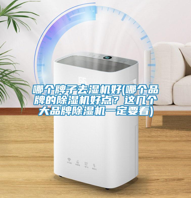哪個牌子去濕機好(哪個品牌的除濕機好點？這幾個大品牌除濕機一定要看)