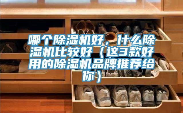 哪個(gè)除濕機(jī)好，什么除濕機(jī)比較好（這3款好用的除濕機(jī)品牌推薦給你）