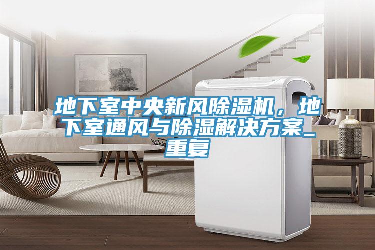 地下室中央新風(fēng)除濕機，地下室通風(fēng)與除濕解決方案_重復(fù)