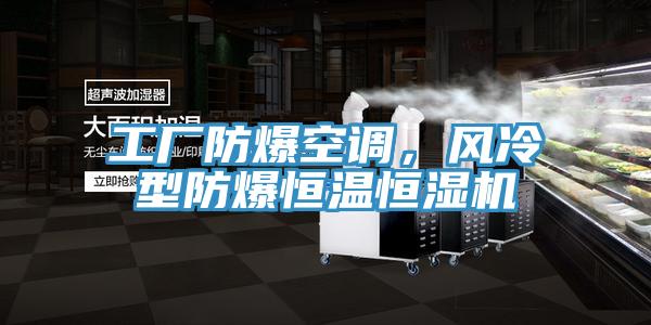 工廠防爆空調(diào)，風(fēng)冷型防爆恒溫恒濕機(jī)