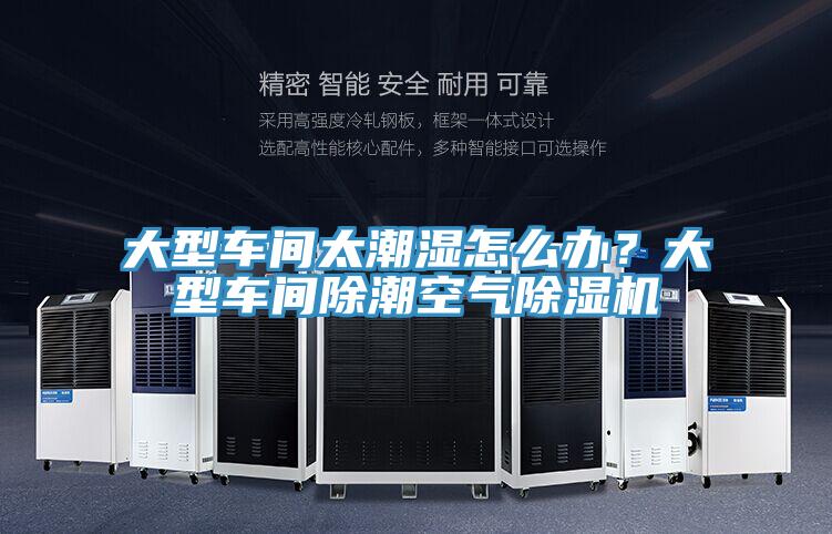 大型車間太潮濕怎么辦？大型車間除潮空氣除濕機(jī)