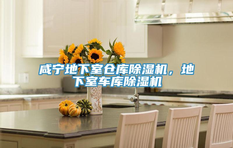 咸寧地下室倉庫除濕機，地下室車庫除濕機