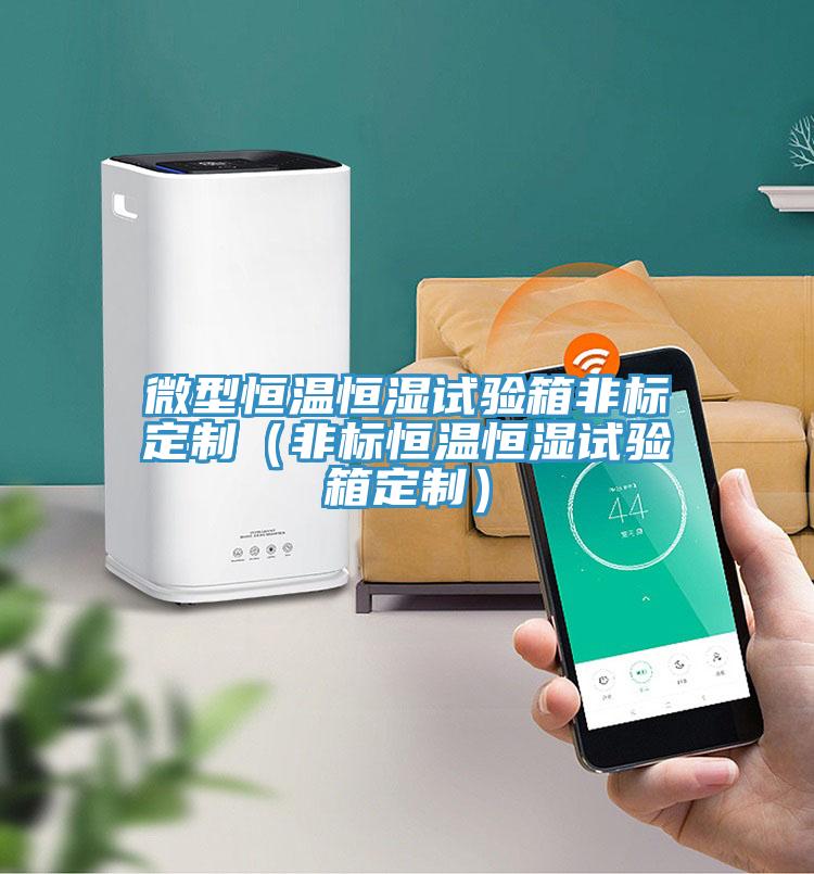 微型恒溫恒濕試驗(yàn)箱非標(biāo)定制(非標(biāo)恒溫恒濕試驗(yàn)箱定制)