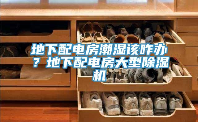 地下配電房潮濕該咋辦？地下配電房大型除濕機