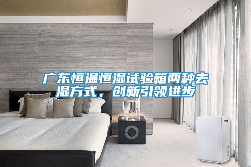 廣東恒溫恒濕試驗箱兩種去濕方式，創(chuàng)新引領(lǐng)進步