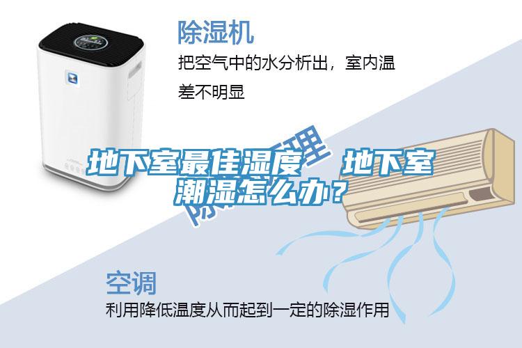 地下室最佳濕度  地下室潮濕怎么辦？