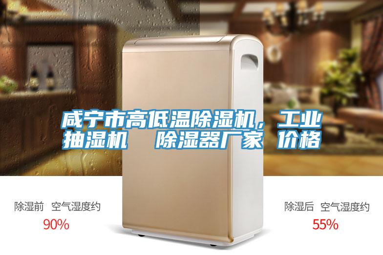咸寧市高低溫除濕機，工業(yè)抽濕機  除濕器廠家 價格